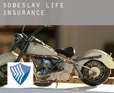 Soběslav  life insurance