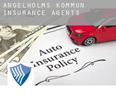 Ängelholms Kommun  insurance agents