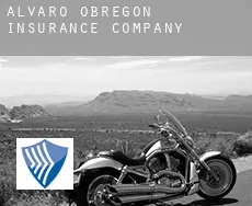 Alvaro Obregón  insurance company