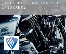 Cilleruelo de Arriba  life insurance