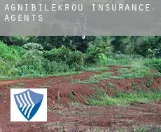 Agnibilékrou  insurance agents