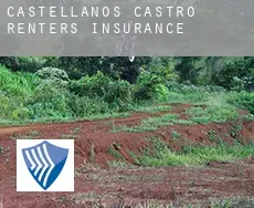 Castellanos de Castro  renters insurance