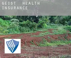 Geist  health insurance