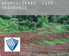 Goupillières life insurance