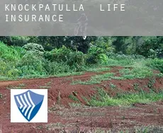 Knockpatulla  life insurance