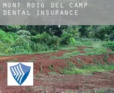 Mont-roig del Camp  dental insurance