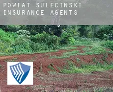 Powiat sulęciński  insurance agents