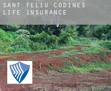 Sant Feliu de Codines  life insurance