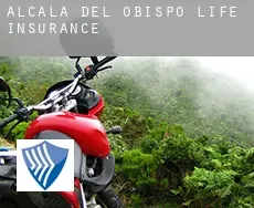 Alcalá del Obispo  life insurance