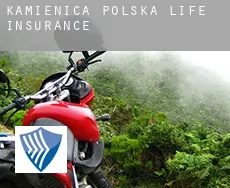 Kamienica Polska life insurance
