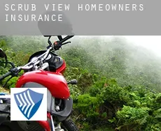 Scrub View homeowners insurance