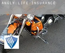 Angly  life insurance