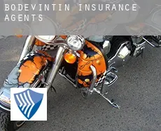 Bodevintin  insurance agents