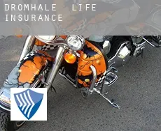 Dromhale  life insurance