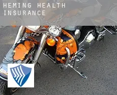 Héming health insurance