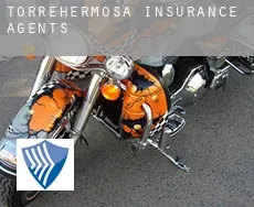 Torrehermosa  insurance agents