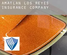 Amatlán de los Reyes  insurance company