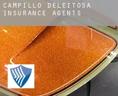 Campillo de Deleitosa  insurance agents