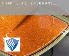 Cham  life insurance