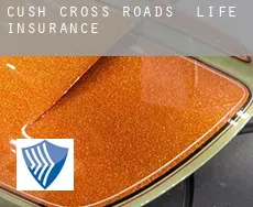 Cush Cross Roads  life insurance