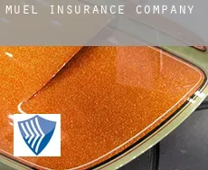 Muel insurance company