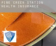 Pine Creek Station  health insurance