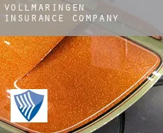 Vollmaringen  insurance company