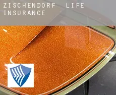 Zischendorf  life insurance