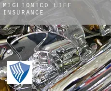 Miglionico  life insurance