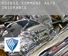 Odense Kommune  auto insurance