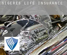 Sigeres life insurance