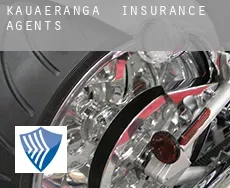 Kauaeranga  insurance agents