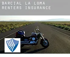 Barcial de la Loma  renters insurance