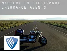 Mautern in Steiermark insurance agents