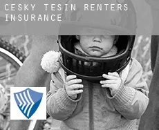 Český Těšín  renters insurance