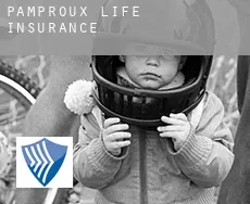 Pamproux  life insurance