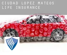 Ciudad López Mateos  life insurance