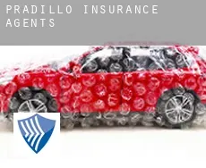 Pradillo  insurance agents