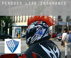 Perdões  life insurance