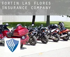 Fortín de las Flores  insurance company
