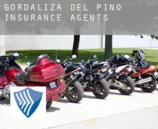 Gordaliza del Pino  insurance agents