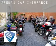 Arenas  car insurance