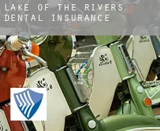 Lake of The Rivers  dental insurance