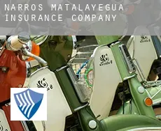 Narros de Matalayegua  insurance company