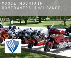 Moose Mountain  homeowners insurance