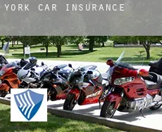 York car insurance