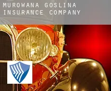 Murowana Goślina  insurance company