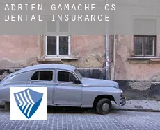 Adrien-Gamache (census area)  dental insurance