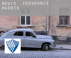 Bouis  insurance agents