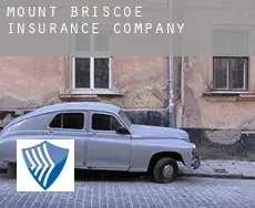 Mount Briscoe  insurance company